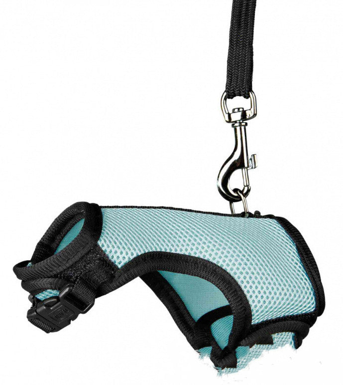 Discover the Perfect Leash for Your Small Pet