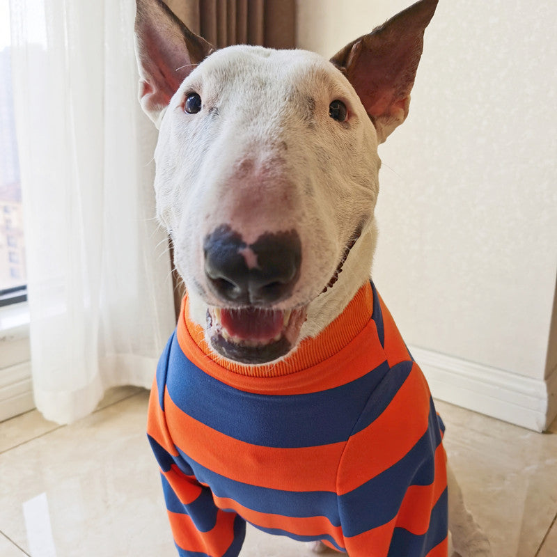 Why Your Dog Deserves the Cute Striped Pet T-Shirt