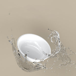 Why Your Pet Deserves The Best: The Stainless Steel 15 Degree Tilted Pet Feeding Bowl