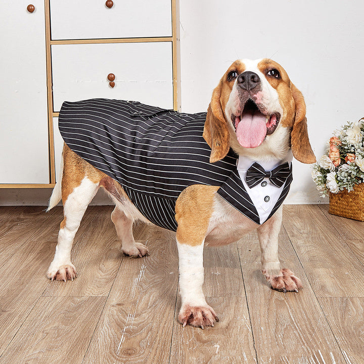 Swallowtail Wedding Pet Suit Jacket: A Perfect Touch for Your Special Day