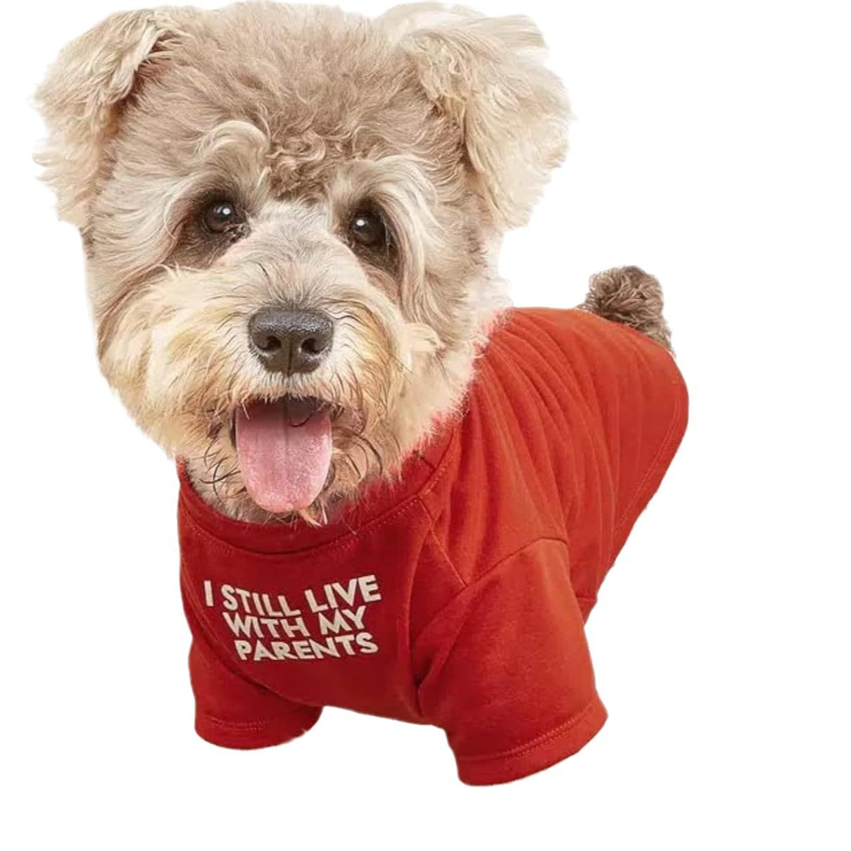 Round Neck Pet T-Shirt: Style Meets Comfort for Your Furry Friend