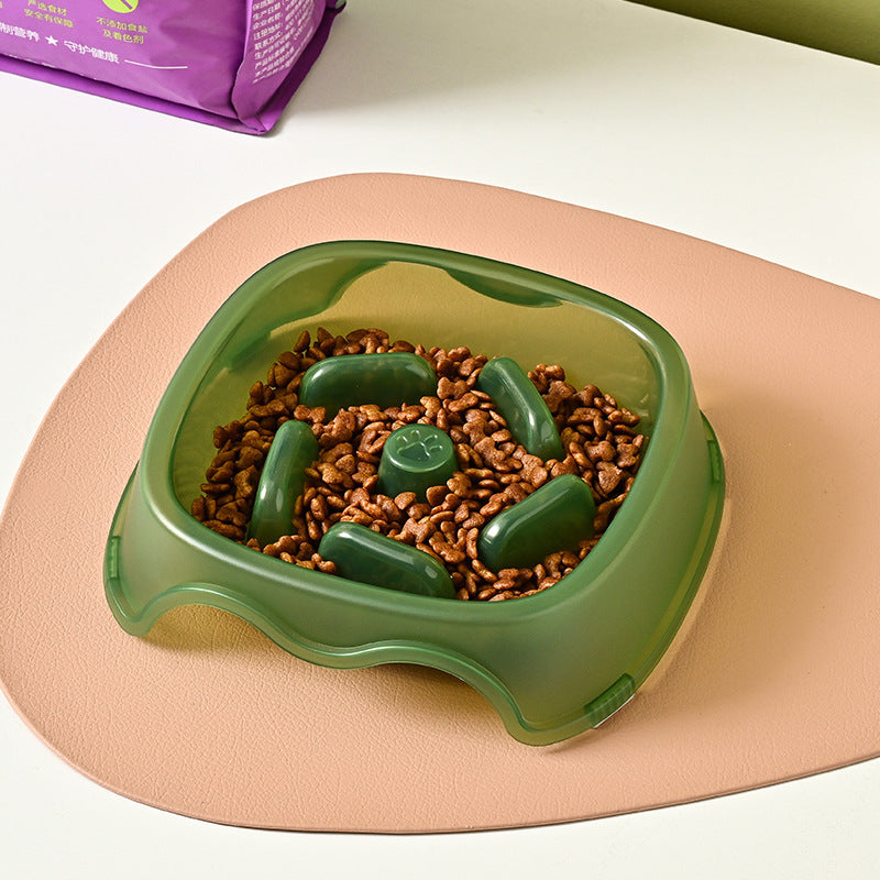 Anti Choking Slow Feeding Pet Water Bowl