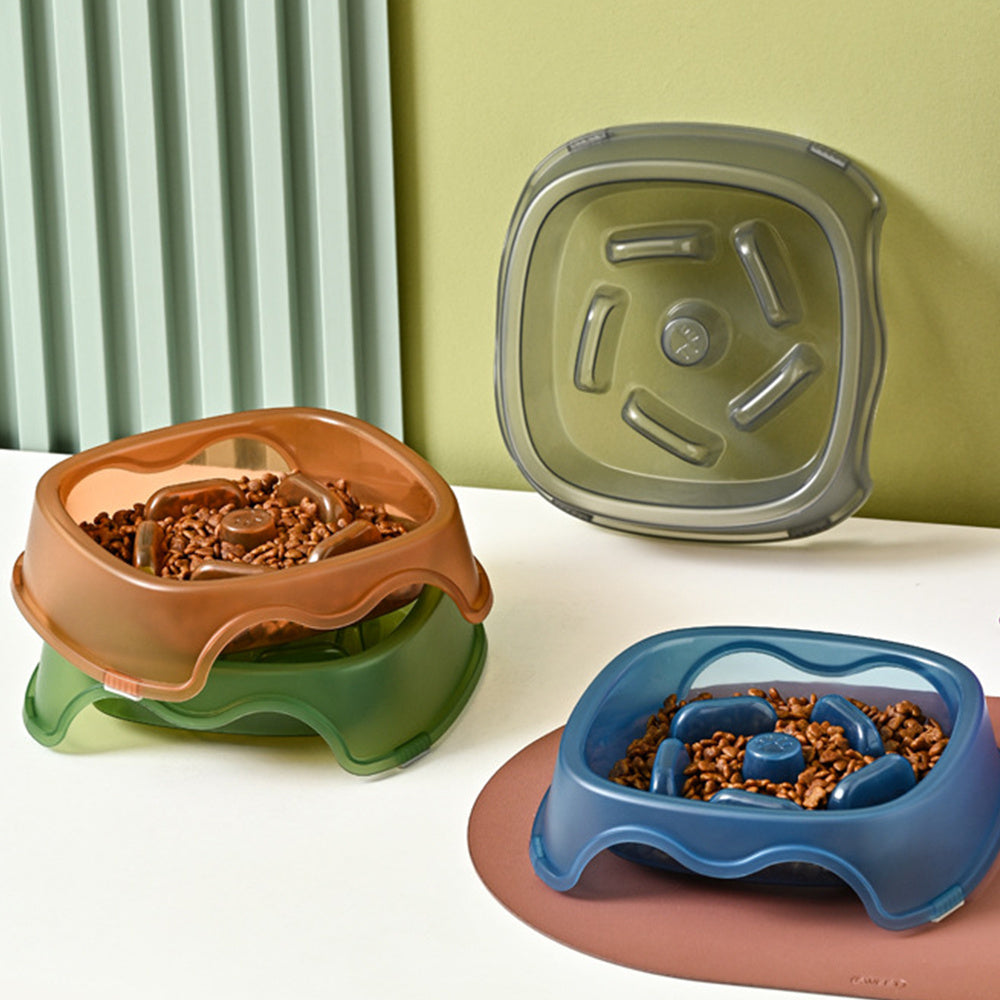 Anti Choking Slow Feeding Pet Water Bowl