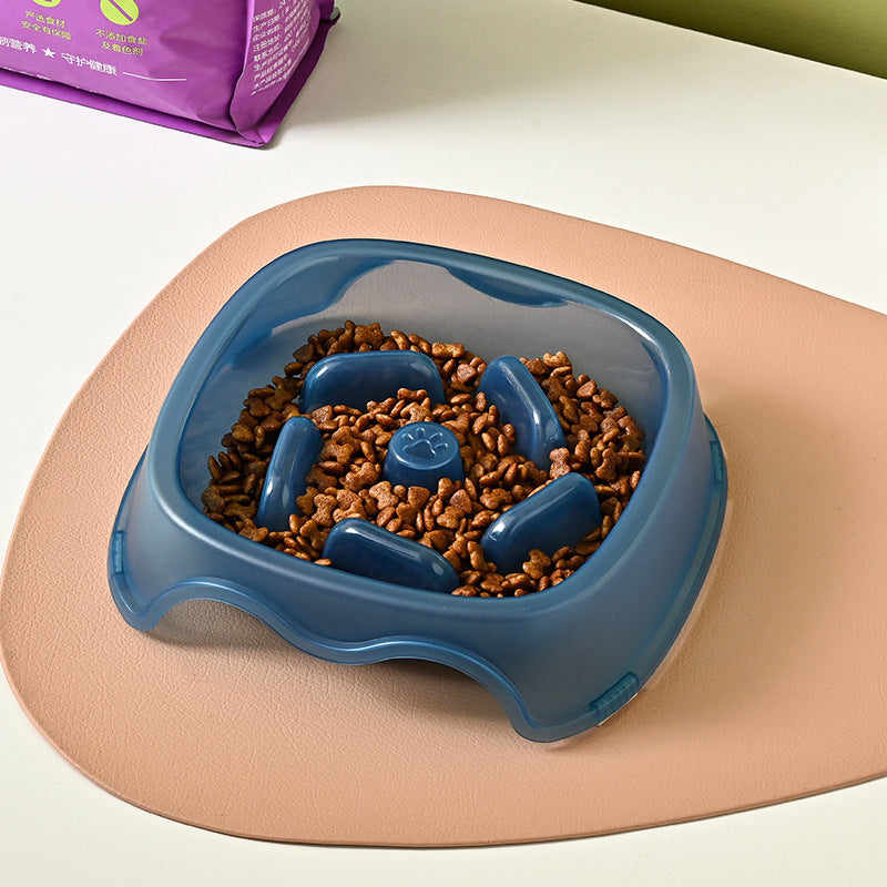 Anti Choking Slow Feeding Pet Water Bowl