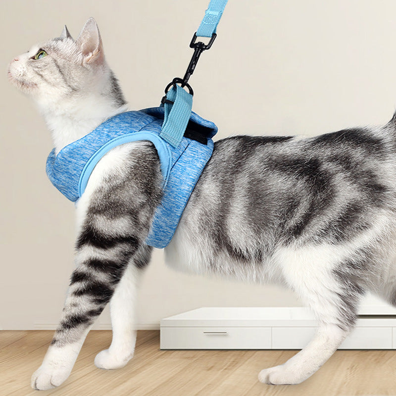 Pet Chest Strap Lace Rope Breathable Lightweight Harness Leash