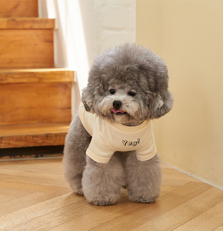 Korean Style Printed Cotton Pet T-Shirt