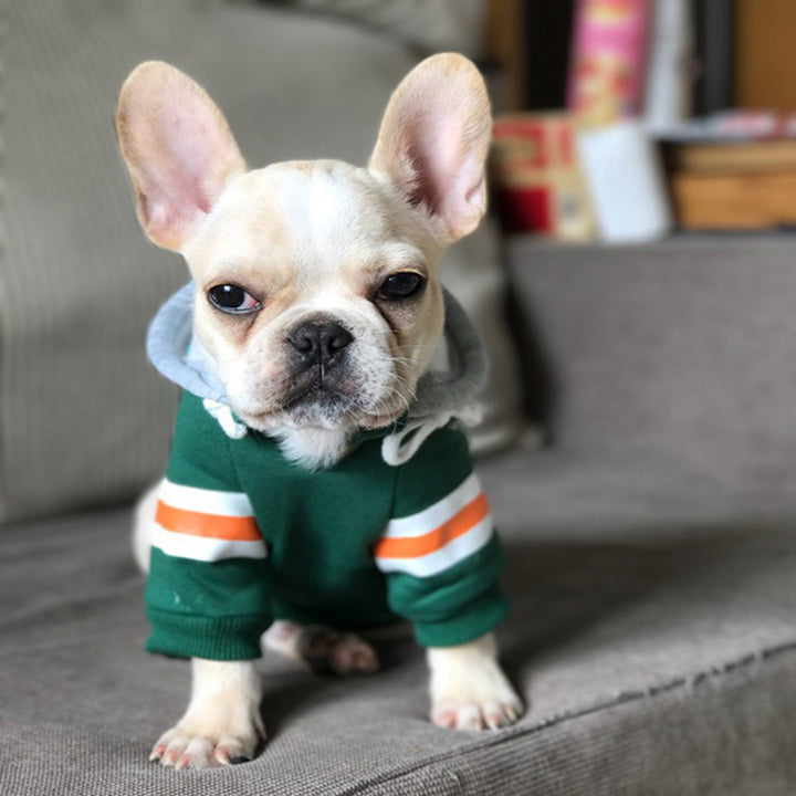 Stylish Warm Pet Sweater