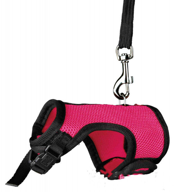 Small Pet Leash