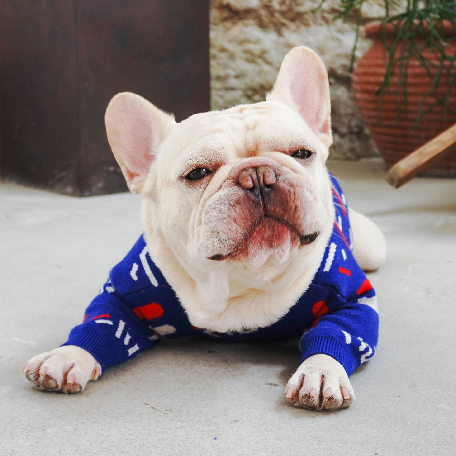 Cozy Pet Sweater Clothing