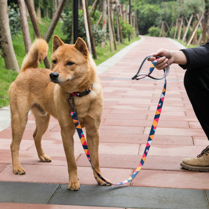 Pet Reflective Walking Leash Safety Training Lead