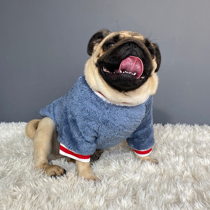 Warm Comfortable Pet Sweater