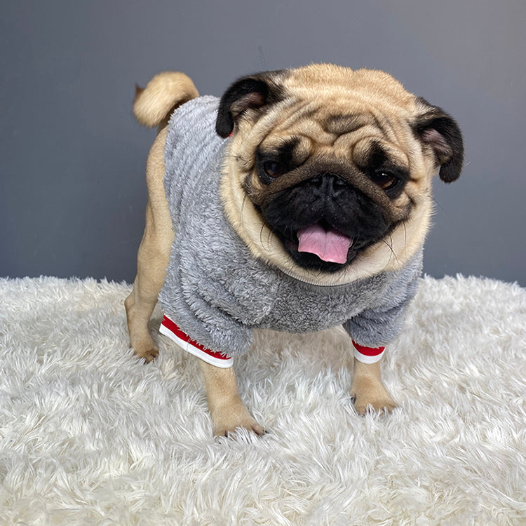 Warm Comfortable Pet Sweater