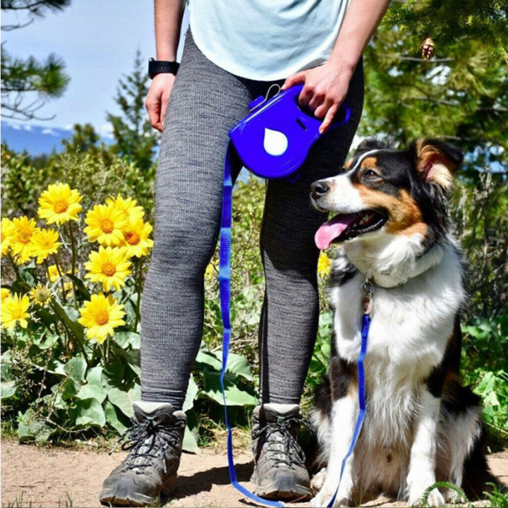 Automatic Retractable Portable Pet Leash