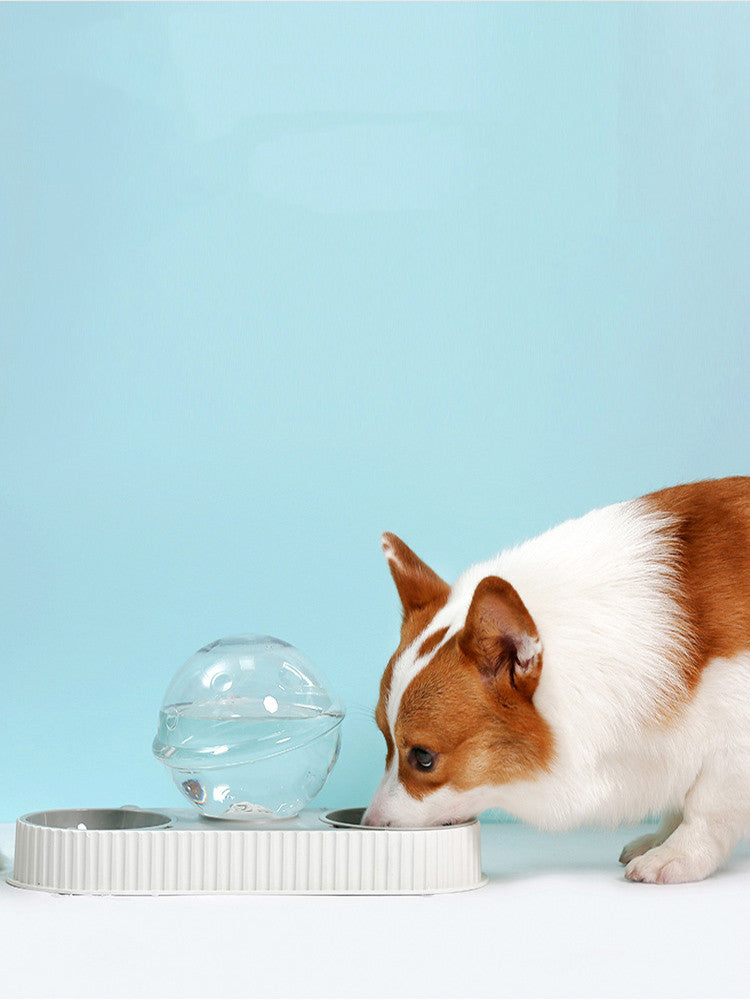Automatic Plastic Pet Feeding And Water Dispenser Bowl