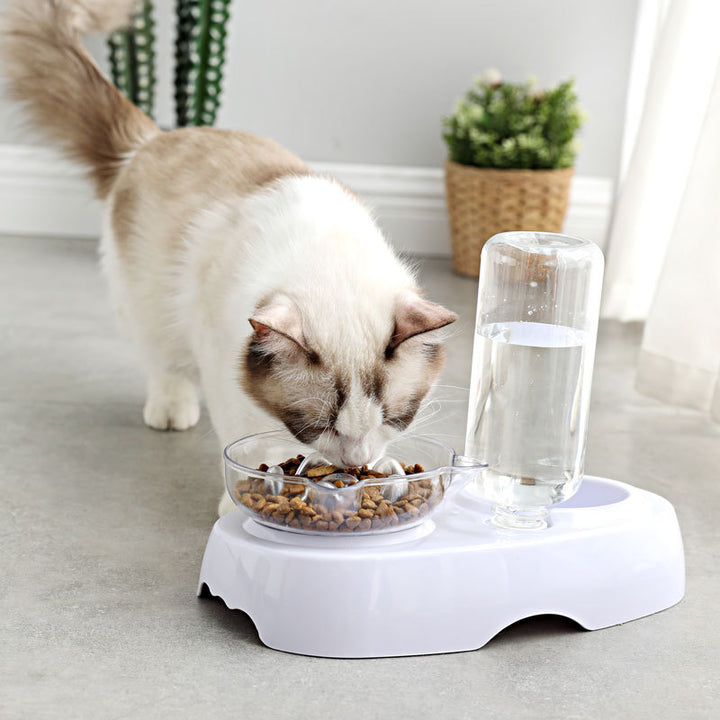 Transparent Plastic Pet Feeding And Drinking Bowl