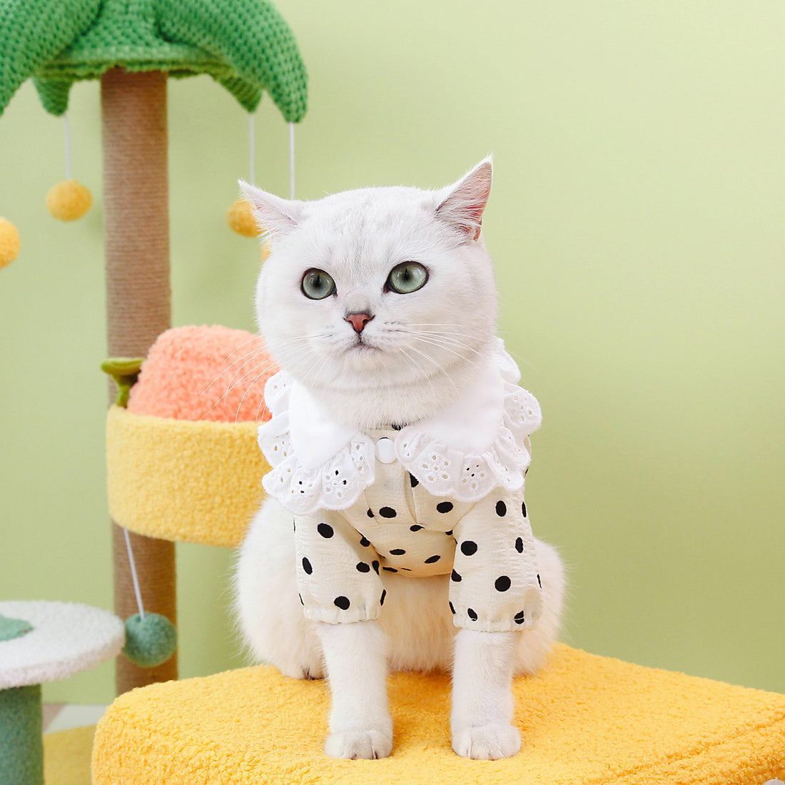 Blue Printed Pet T-Shirt