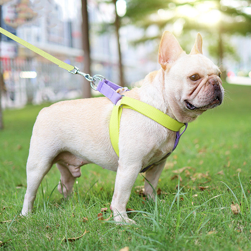 Color Drawstring Vest Style Pet Harness Leash
