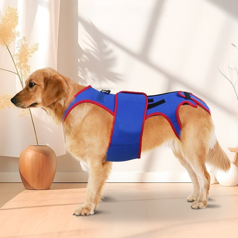 Spine Support Pet Jacket Prevents Hunching