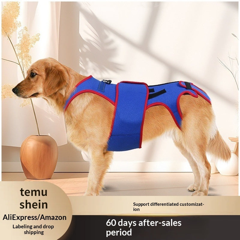 Spine Support Pet Jacket Prevents Hunching