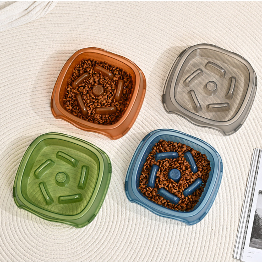 Anti Choking Slow Feeding Pet Water Bowl