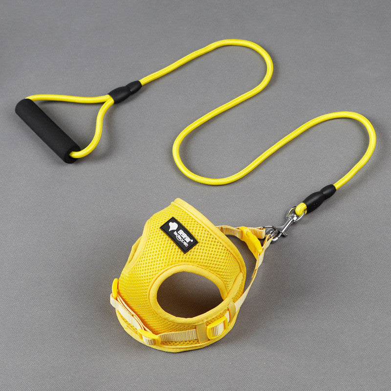 Pet Leash Collar Walking Training Safety Set