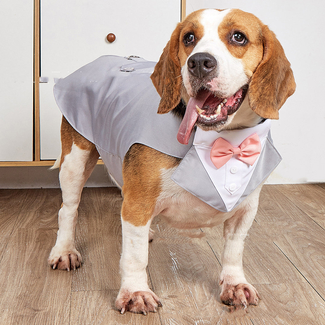 Swallowtail Wedding Pet Suit Jacket