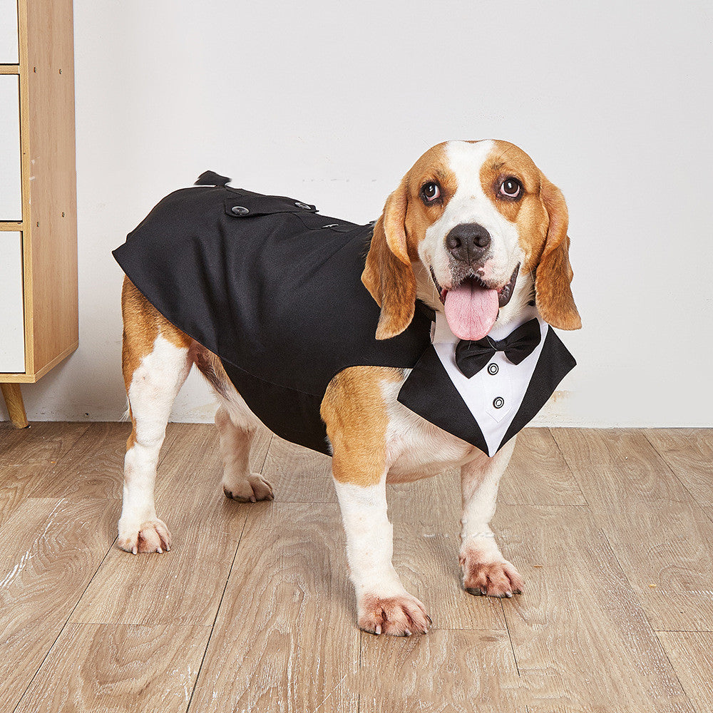 Swallowtail Wedding Pet Suit Jacket