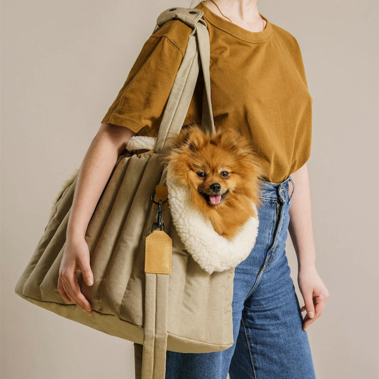 Pet Carrier Waterproof Lightweight Portable Handbag Bag