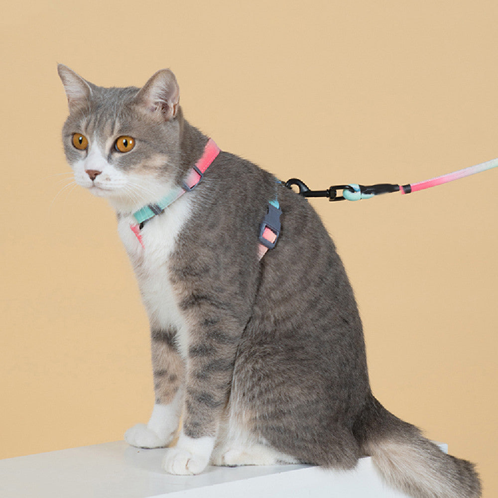 Fashion Anti Escape Pet Leash