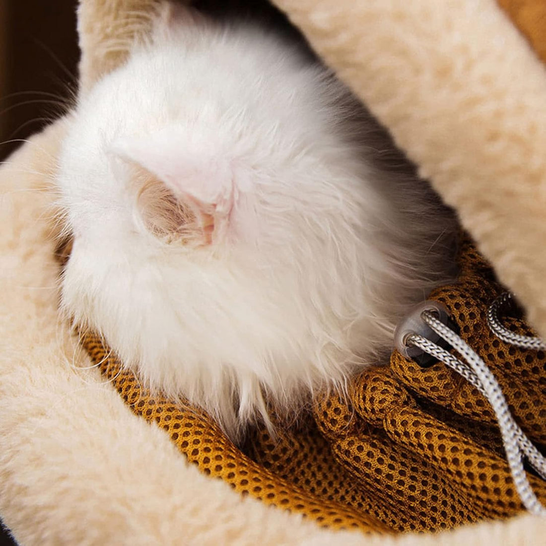 Pet Carrier Backpack Plush Winter Travel Outdoor Bag