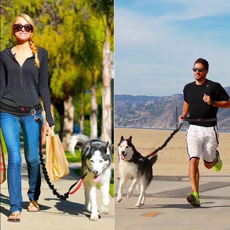 Adjustable Pet Harness Collar Jogging Leash
