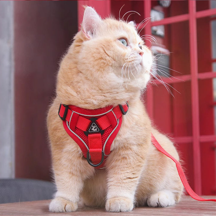 New Vest Style Pet Chest Harness With Leash