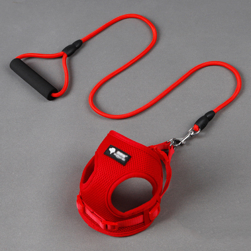 Pet Leash Collar Walking Training Safety Set