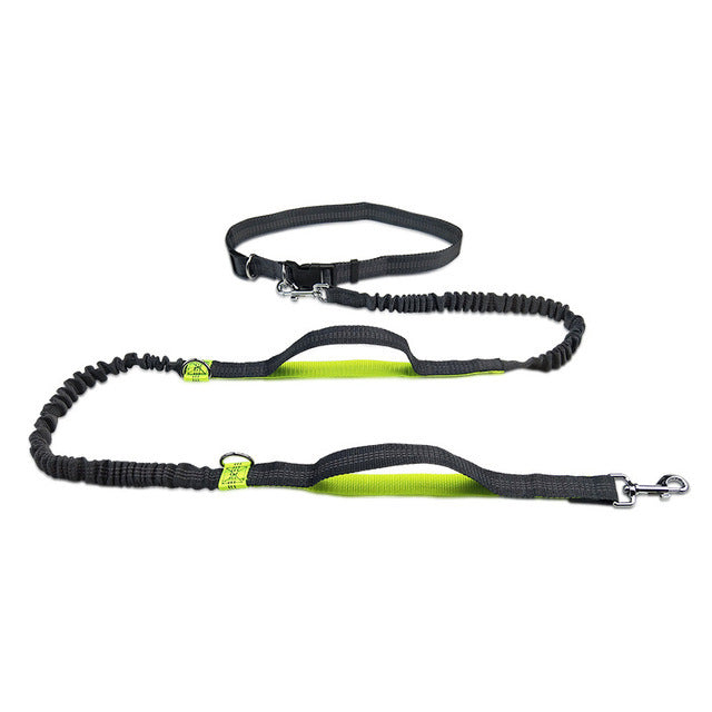 Adjustable Pet Harness Collar Jogging Leash