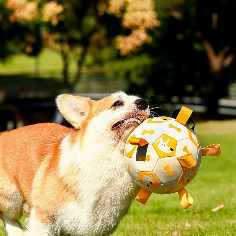 Interactive Football Training Bite Chew Teething Pet Ball Toy