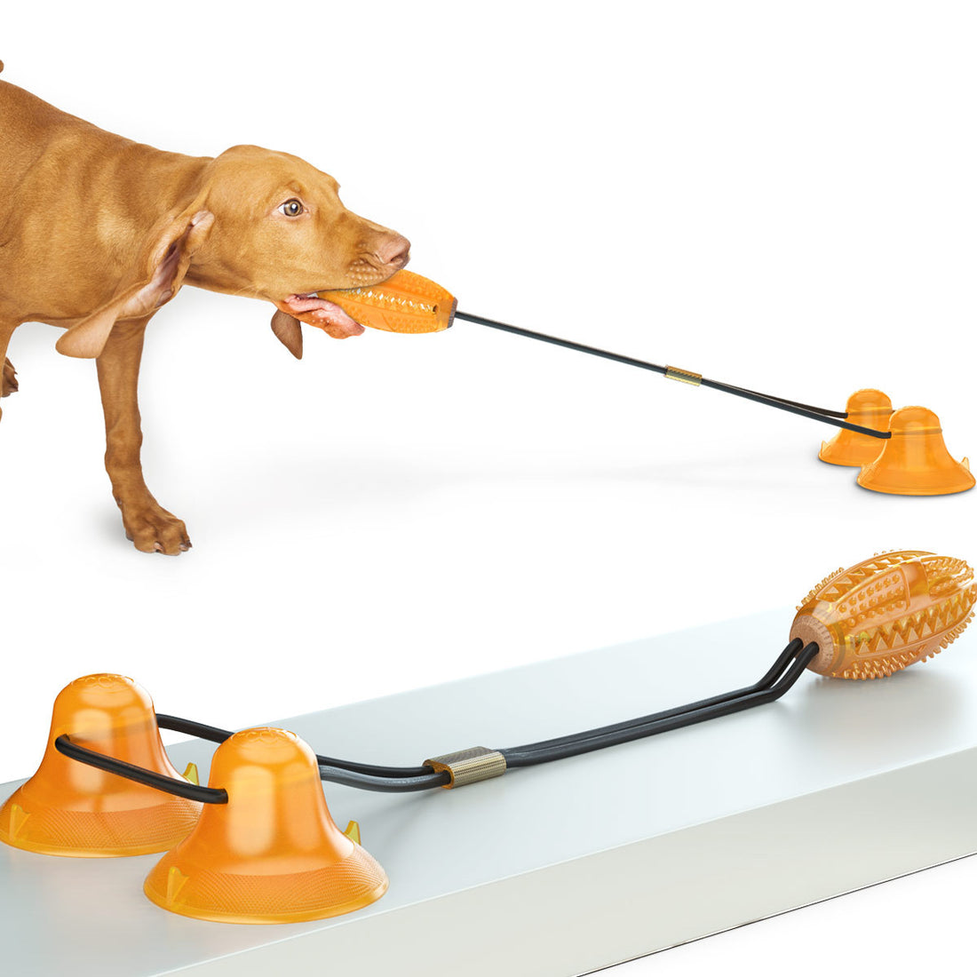 Pet Multifunction Double Rope Tug Suction Ball Chew Toy