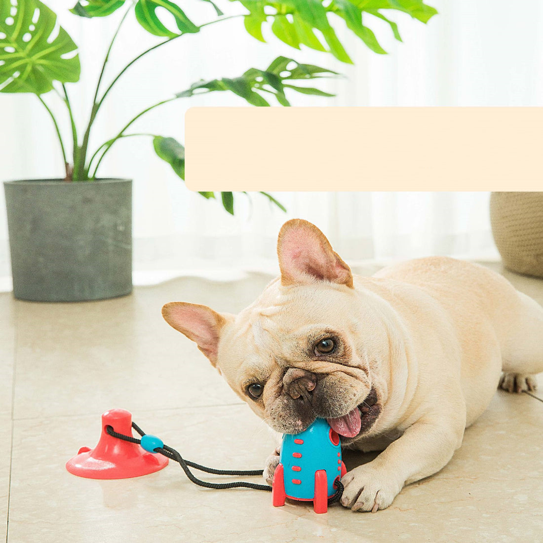 Rocket Interactive Food Dispensing Bite Resistant Pet Toy
