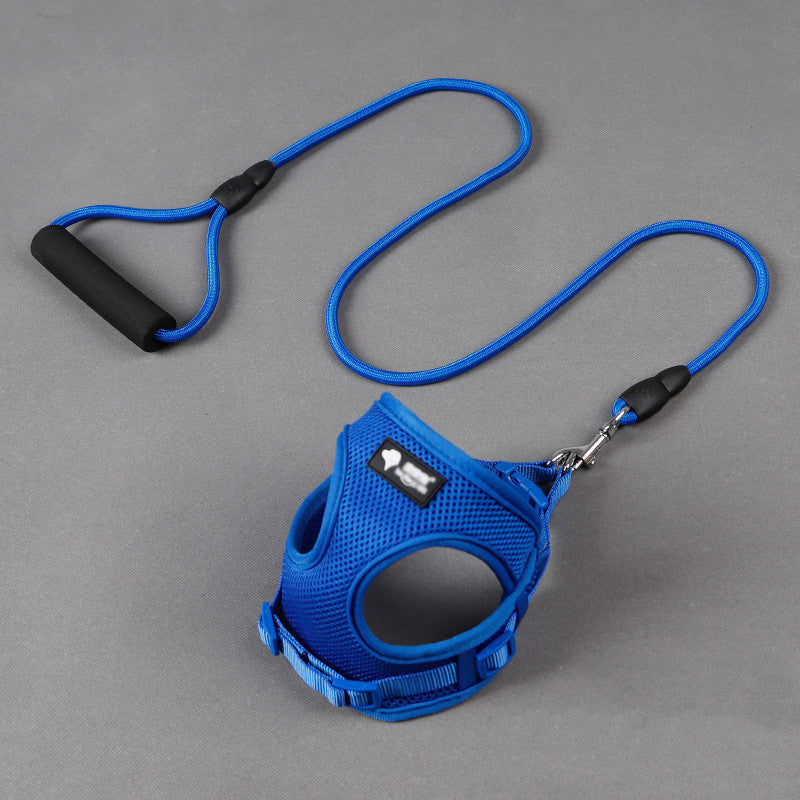 Pet Leash Collar Walking Training Safety Set