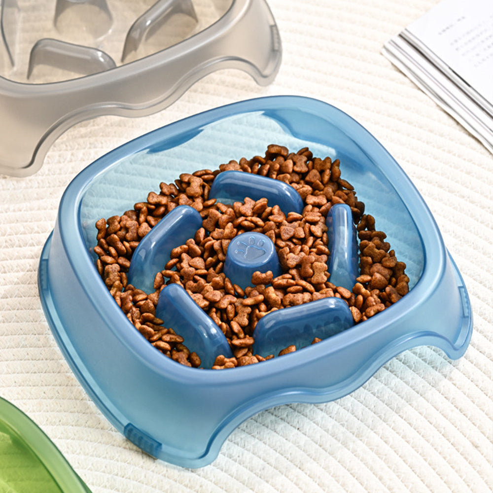 Anti Choking Slow Feeding Pet Water Bowl