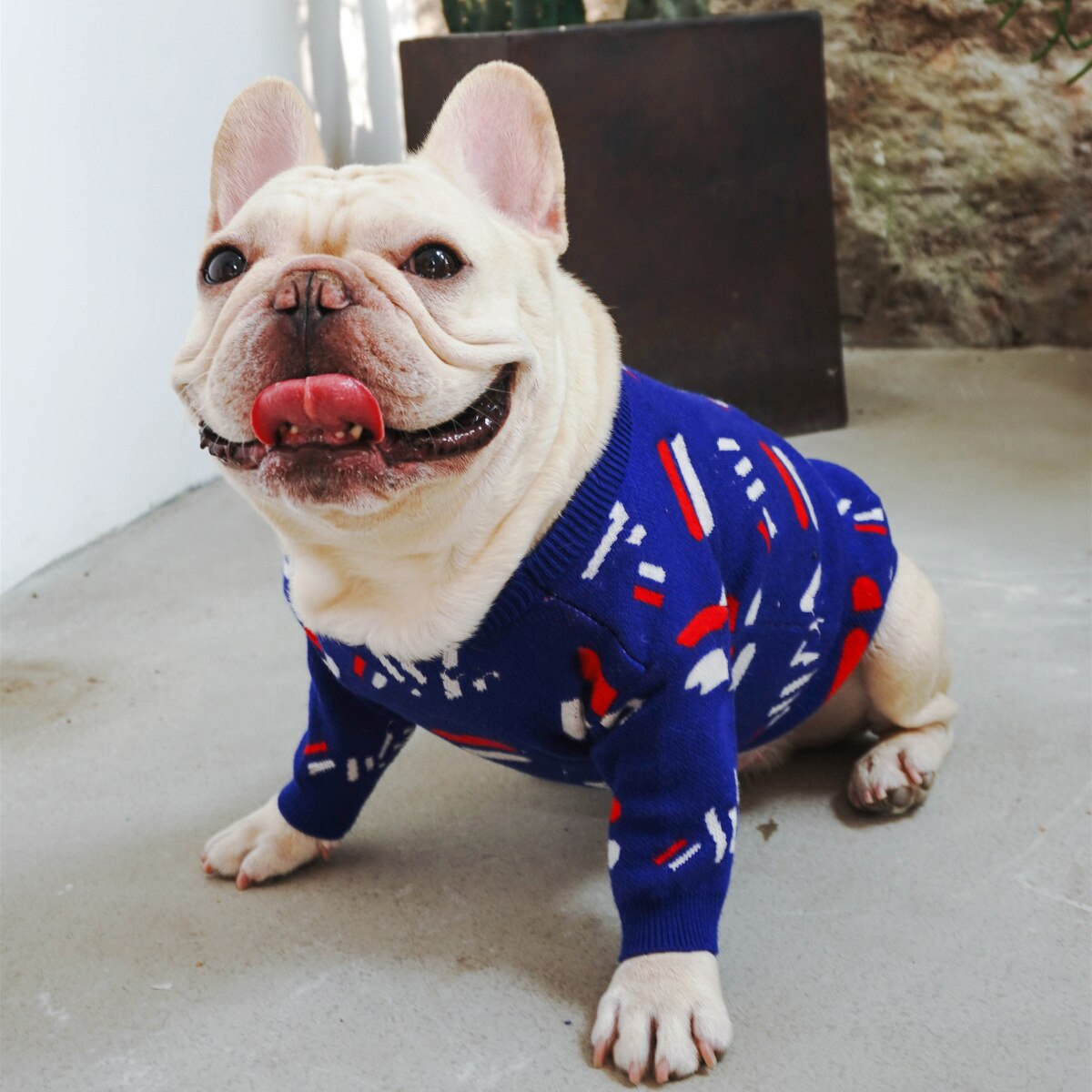 Cozy Pet Sweater Clothing