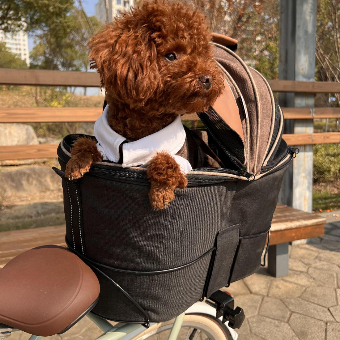 Pet Carrier Foldable Canvas Rear Seat Bag