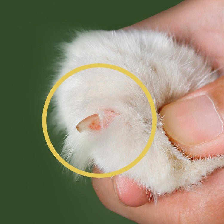 Pet Nail Clippers Safety Grooming Trimming Tool