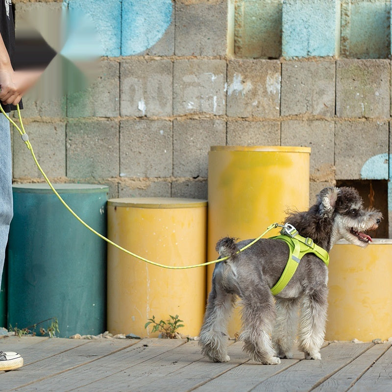 Colorful Adjustable Sliding Pet Leash