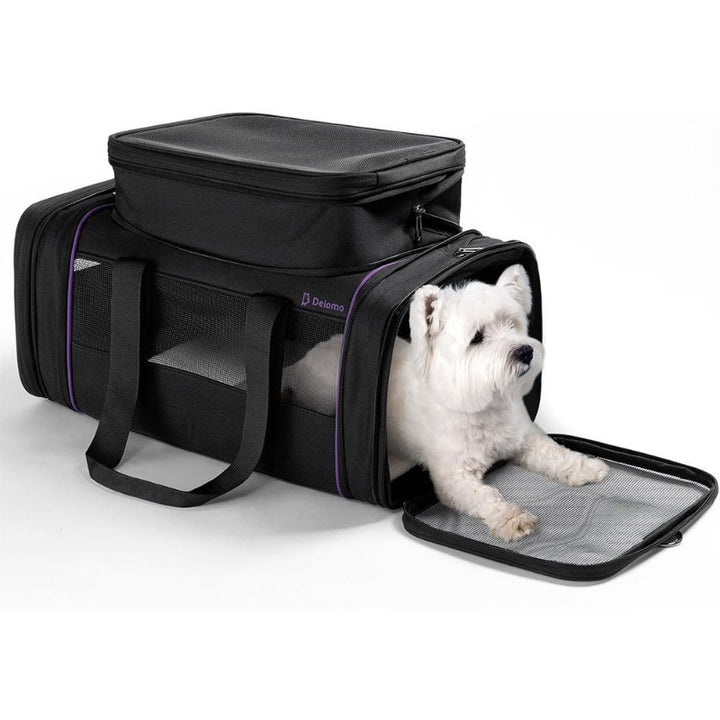 Pet Carrier Soft Expandable Travel Flight Bag