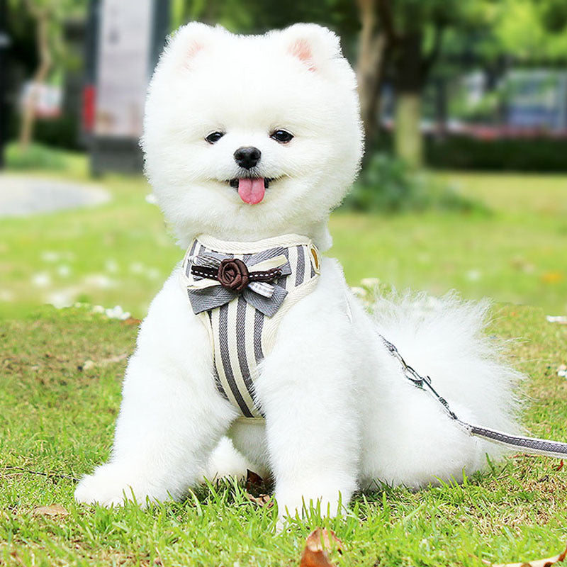 New Vest Type Pet Chest Harness Leash