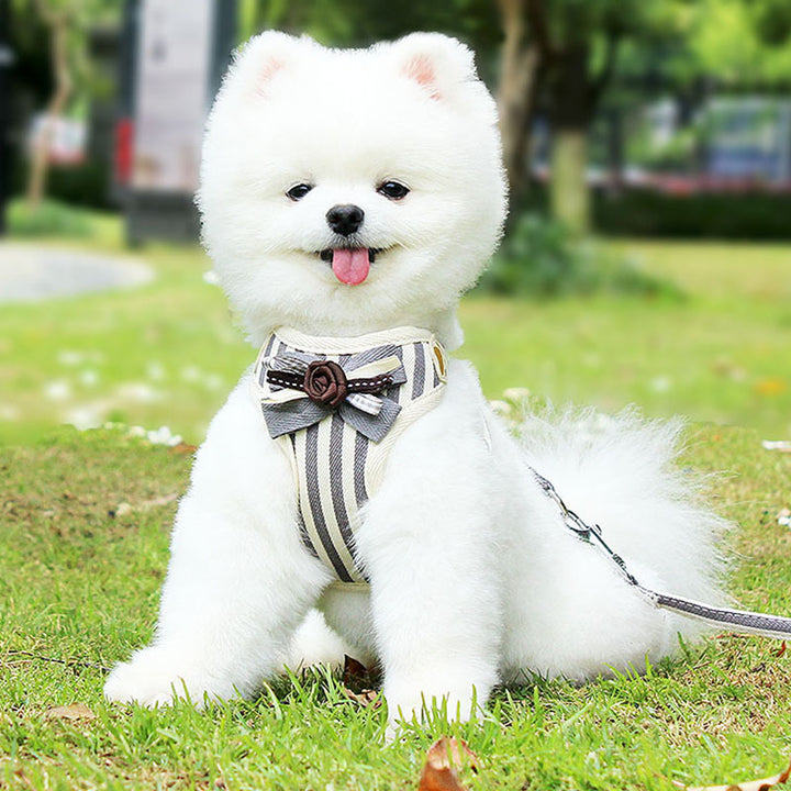 New Vest Type Pet Chest Harness Leash