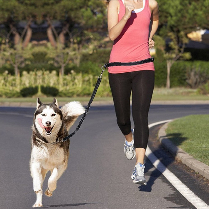 Adjustable Pet Harness Collar Jogging Leash