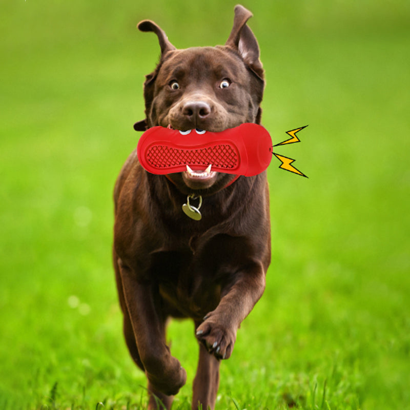 Vocal Rugby Rubber Teething Chew Toy Bite Resistant Pet Dental Toy