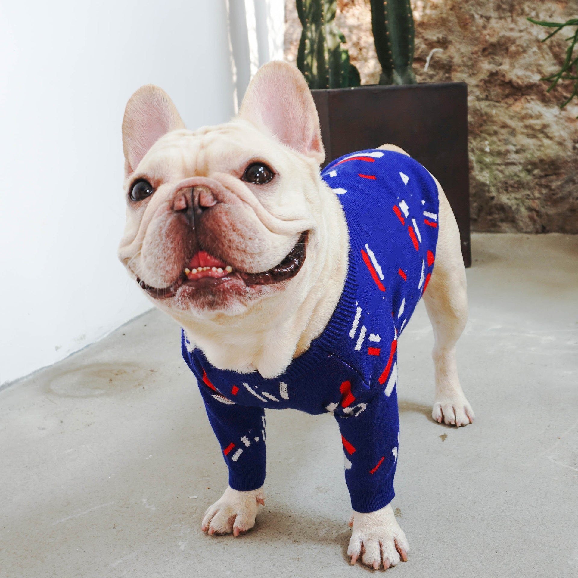 Cozy Pet Sweater Clothing