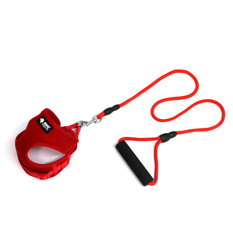 Pet Leash Collar Walking Training Safety Set